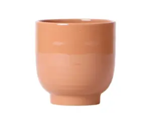 Glazed pot | bruin