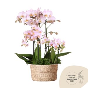 Field Bouquet in Reed Basket