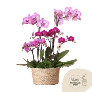 Field Bouquet in Reed Basket - Violet