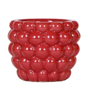 Berry pot | rood