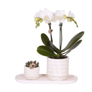 Gift set Slow Living small