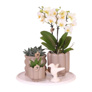 Gift set Slow Living