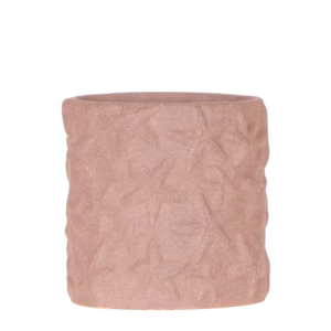 Star Fish sierpot | bruin