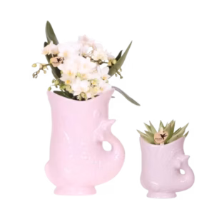 Plantenset Fish | roze