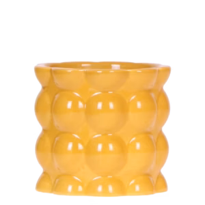 Cotton Shine sierpot | geel