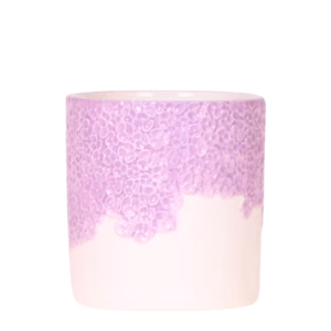 Bloom sierpot | paars