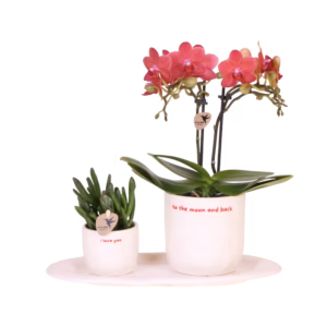 Gift Set 'i love you'